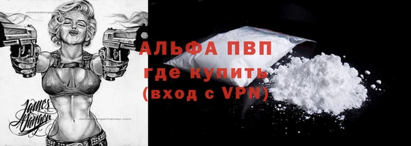 дмт Пестово