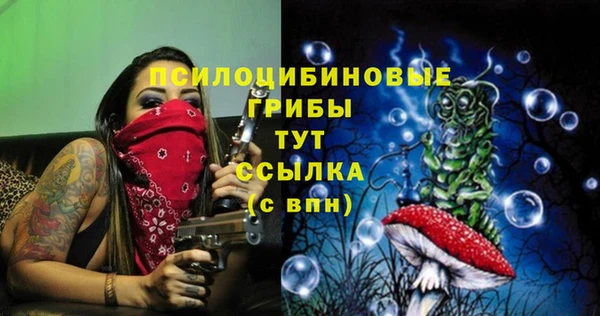 метадон Пересвет
