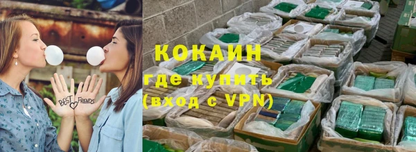 дмт Пестово