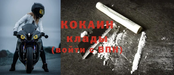 дмт Пестово