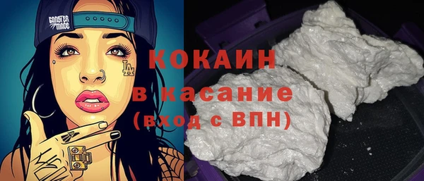 дмт Пестово