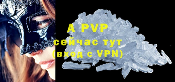 дмт Пестово
