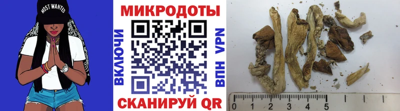 Галлюциногенные грибы Magic Shrooms  Аткарск 